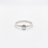 טבעת צדף נקודות