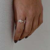 טבעת הולבוש