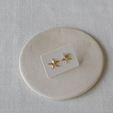 עגילי כוכב ים בציפוי זהב