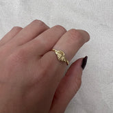 טבעת הולבוש בציפוי זהב