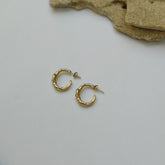 עגילי עמנואל בציפוי זהב