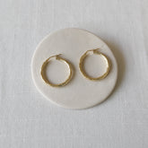 עגילי קטלין L בציפוי זהב