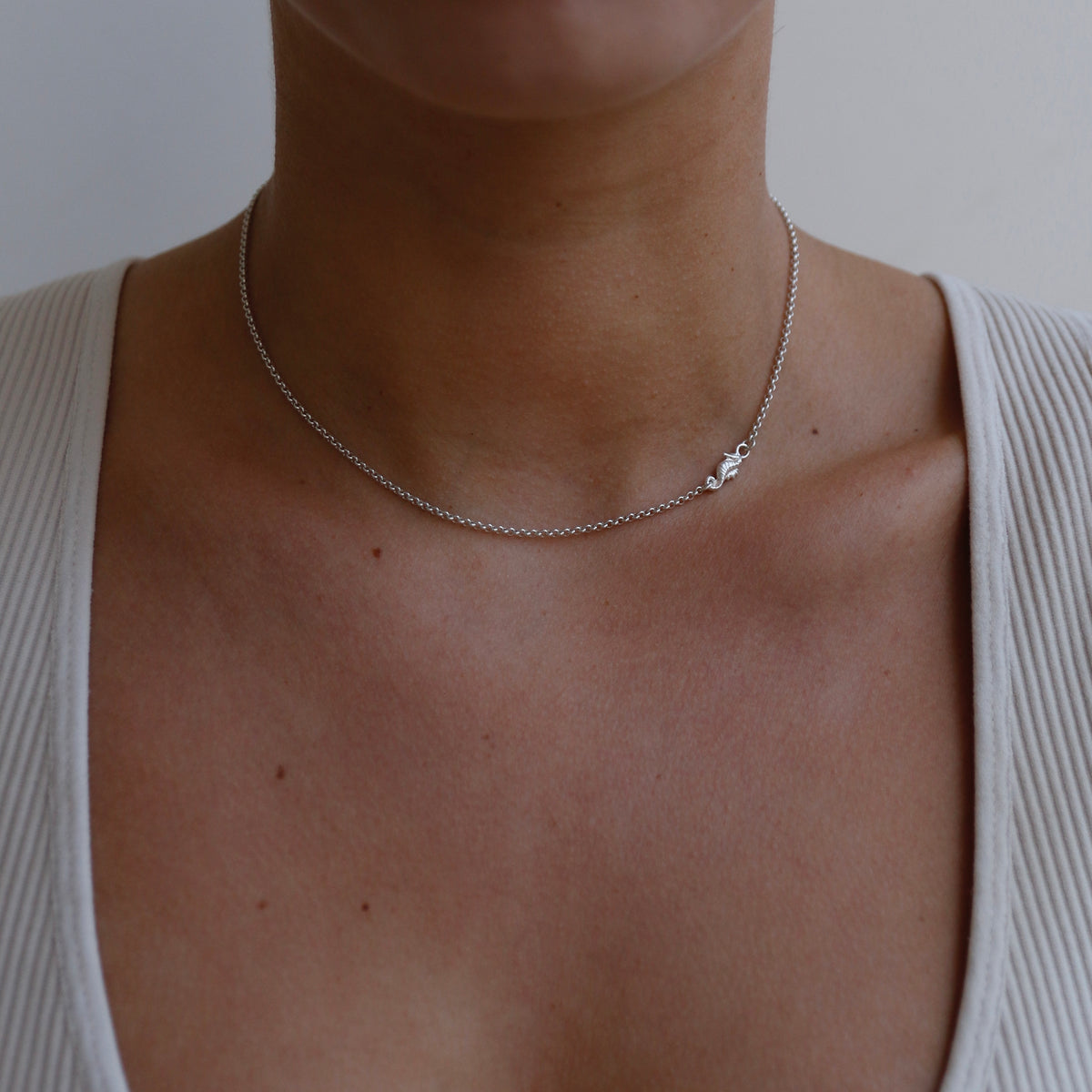 שרשרת צ׳וקר סוסון ים