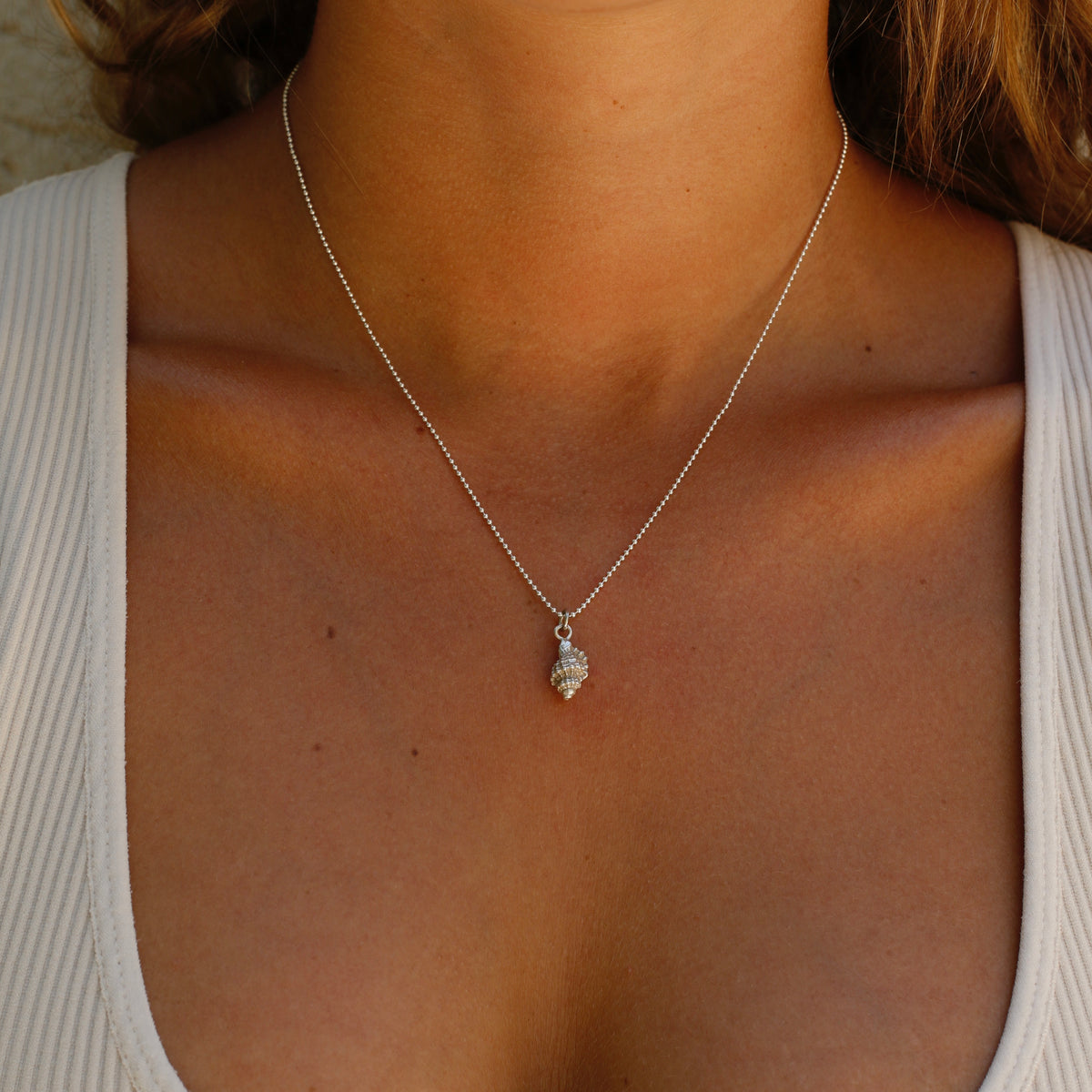 שרשרת הולבוש